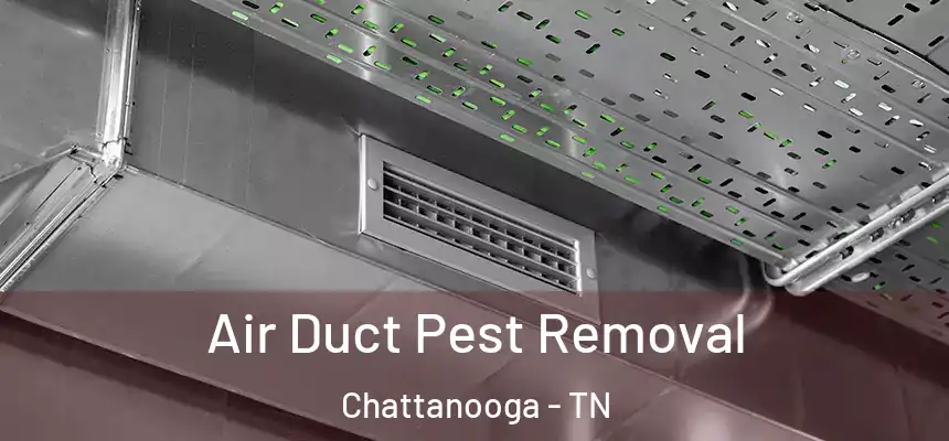  Air Duct Pest Removal Chattanooga - TN