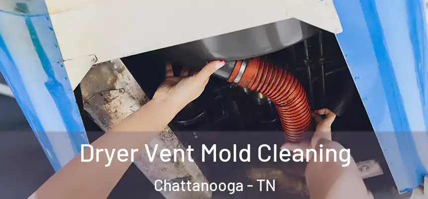  Dryer Vent Mold Cleaning Chattanooga - TN