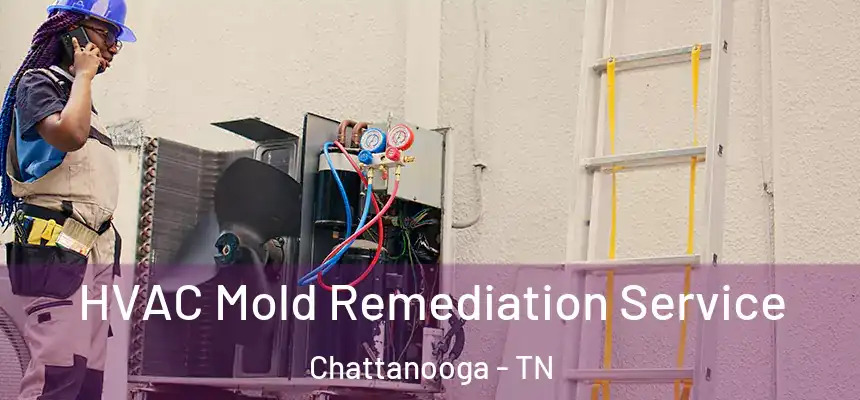 HVAC Mold Remediation Service Chattanooga - TN