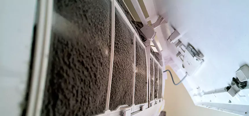 Preventive Air Duct Bacteria Removal in Chattanooga