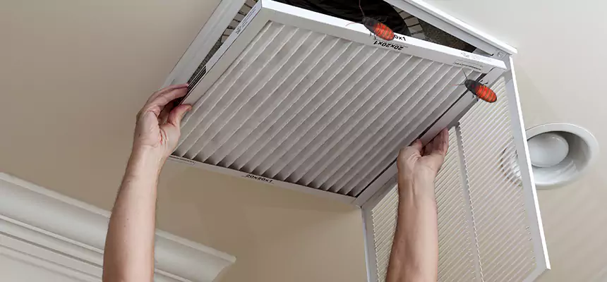 Preventive Cockroach-Proofing for Ducts in Chattanooga