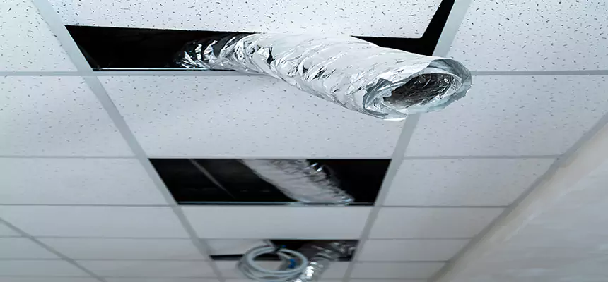 Affordable HVAC Sanitizing After Pest Removal in Chattanooga