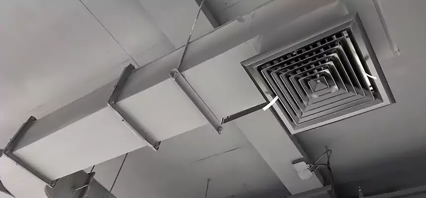 Restorative Allergy Relief Vent Cleaning – Coil, Blower & Housing Detail in Chattanooga