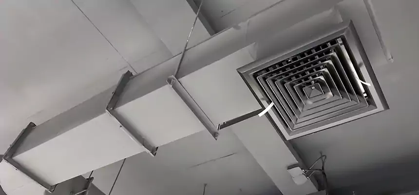 Our Pest Removal From Ducts Services in Chattanooga, TN