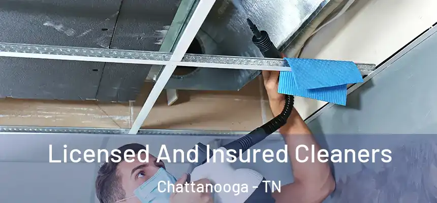  Licensed And Insured Cleaners Chattanooga - TN