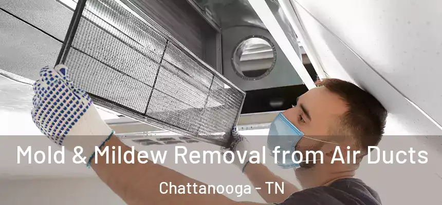 Mold & Mildew Removal from Air Ducts Chattanooga - TN