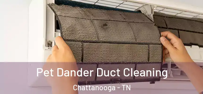  Pet Dander Duct Cleaning Chattanooga - TN