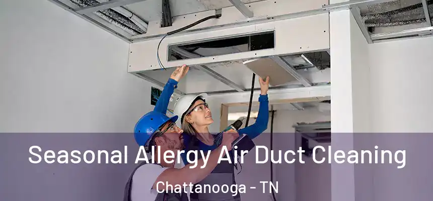  Seasonal Allergy Air Duct Cleaning Chattanooga - TN