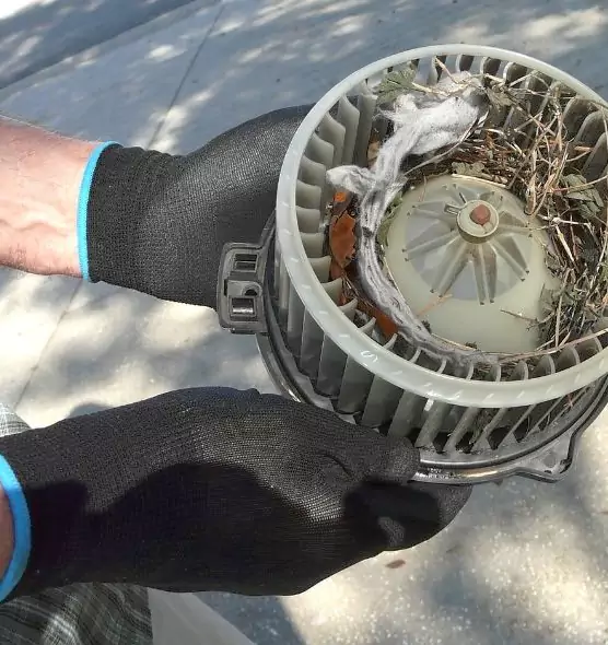 About Air Duct Mice Removal in Chattanooga, TN