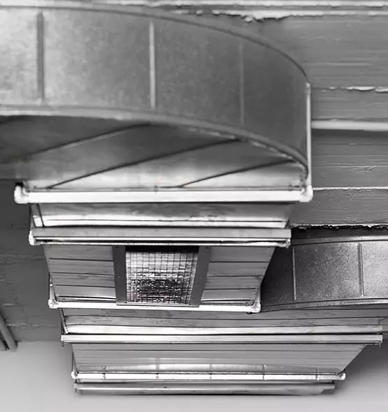 Professional Air Duct Pest Removal in Chattanooga, TN