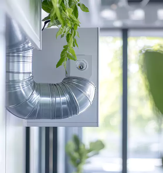 Professional Eco-Safe Dryer Vent Cleaning in Chattanooga, TN