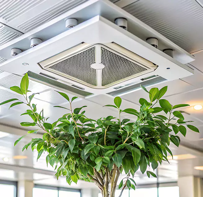 Why Homeowners & Businesses Trust Us in Chattanooga, TN