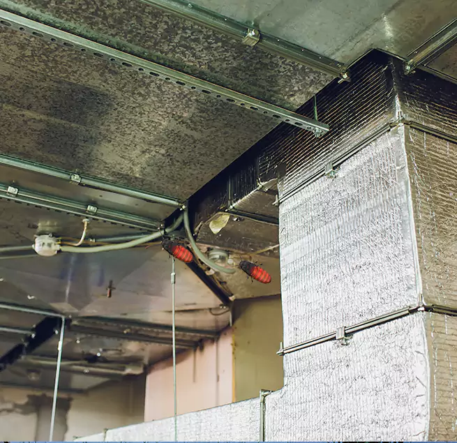 Why Homeowners & Businesses Trust Us Chattanooga, TN?